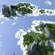 Illustration for article titled Spectacular Builds From Minecraft's "Floating Island" Contest